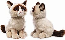 Grumpy Cat Plüschtier GrumpyCat Kuscheltier Grumpy Cat Kissen Memes Rage Face Shop Grumpy Cat Plüschtier GrumpyCat Kuscheltier Grumpy Cat Kissen Memes Rage Face Shop
