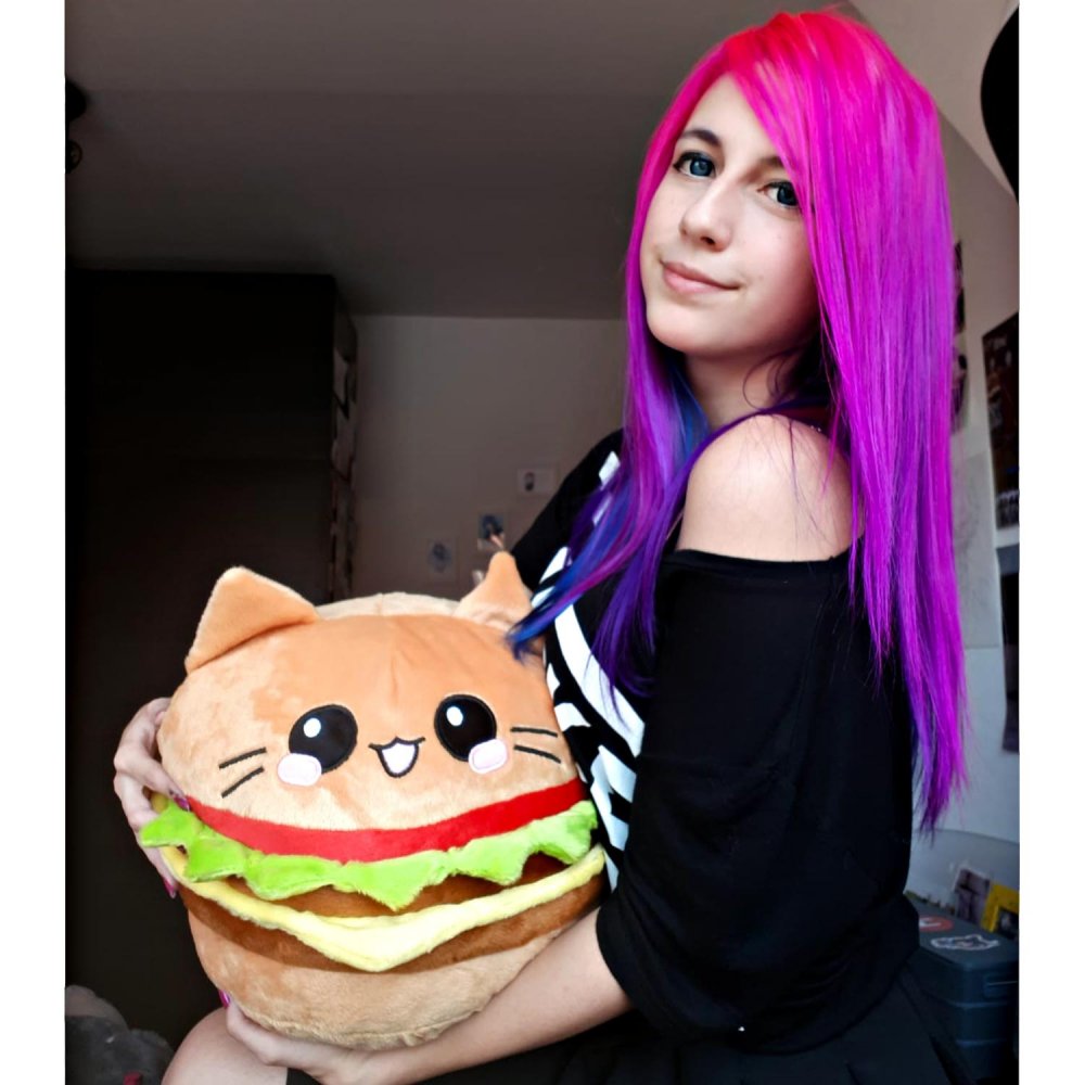 Burger Cat Kissen Katze Kitty Girl Cute Pink Haare