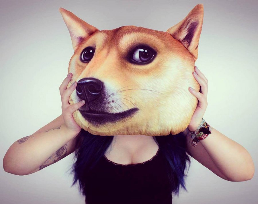 Doge Kissen Dog Shiba Inu Scene Girl