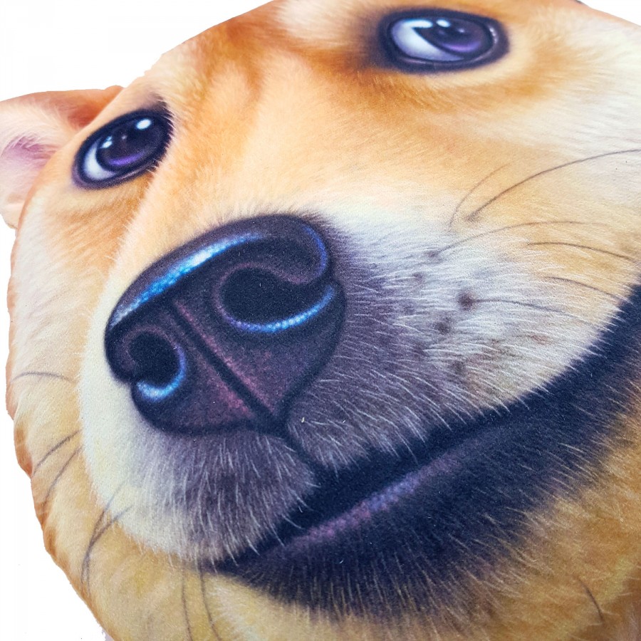 Doge Kissen Shiba Inu Shop Meme