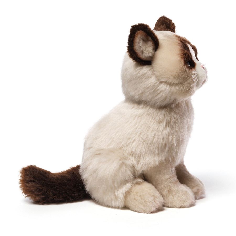Grumpy Cat I Had Fun Once Memes Grumpy Cat I Had Fun Once Memes