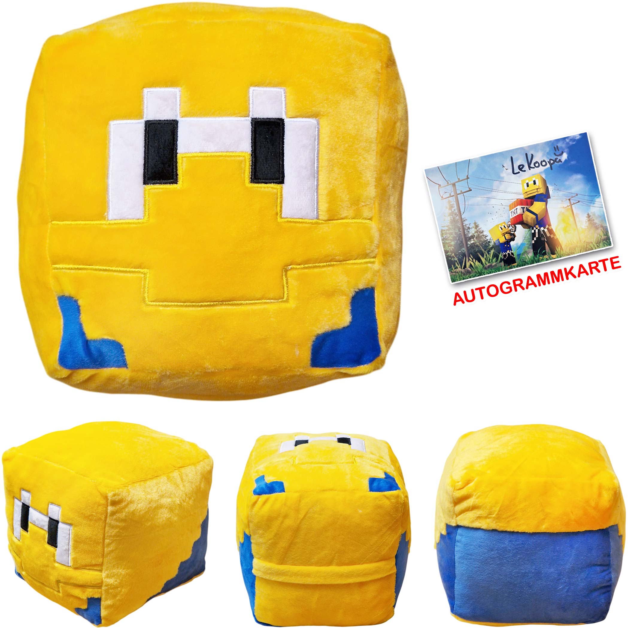 LeKoopa 3D Skin Cube Kissen Merch Shop